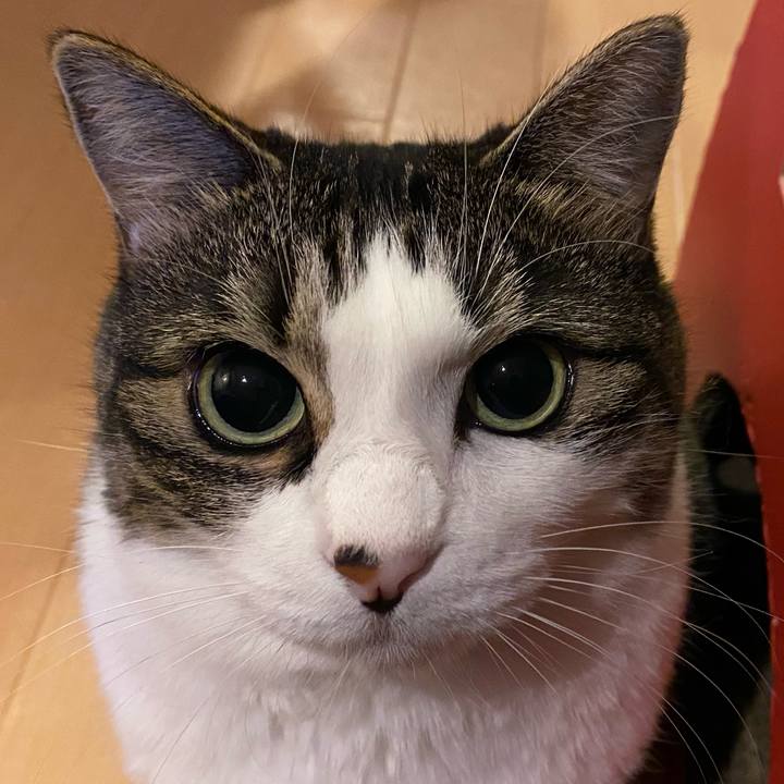 F414f8ea 11ad 47ed bfb6 9d3a042505b2 1598447872405