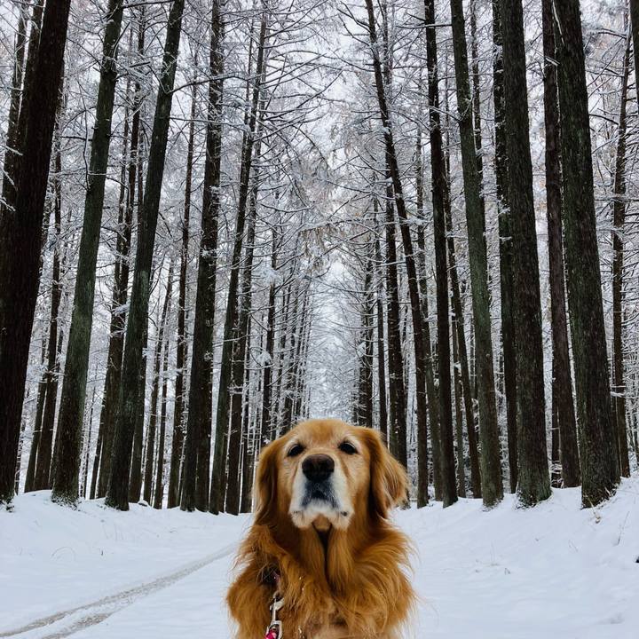 F4151556 9d4d 4e0f a6a0 58496b614ca9 1733933993919