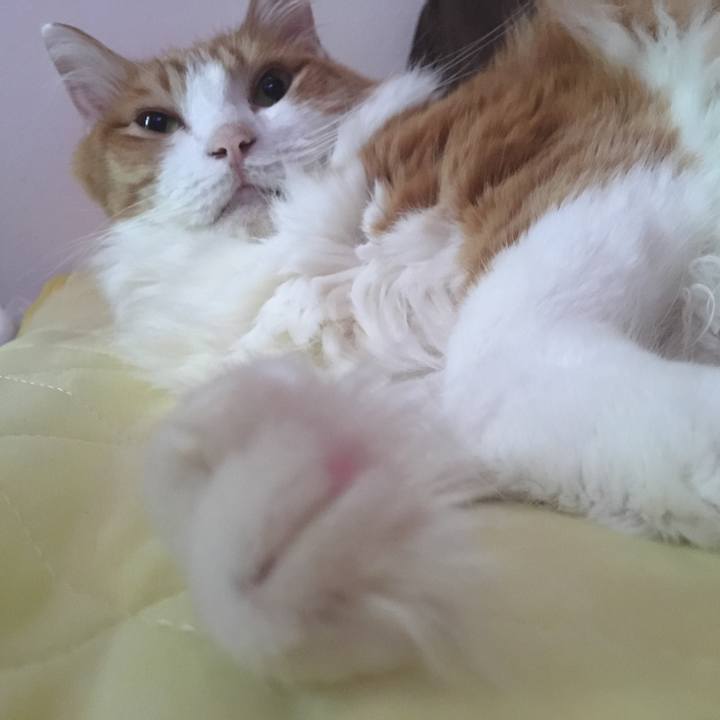 F4152dc3 5c59 4d70 b321 2a9437ecbee5 1536465974008