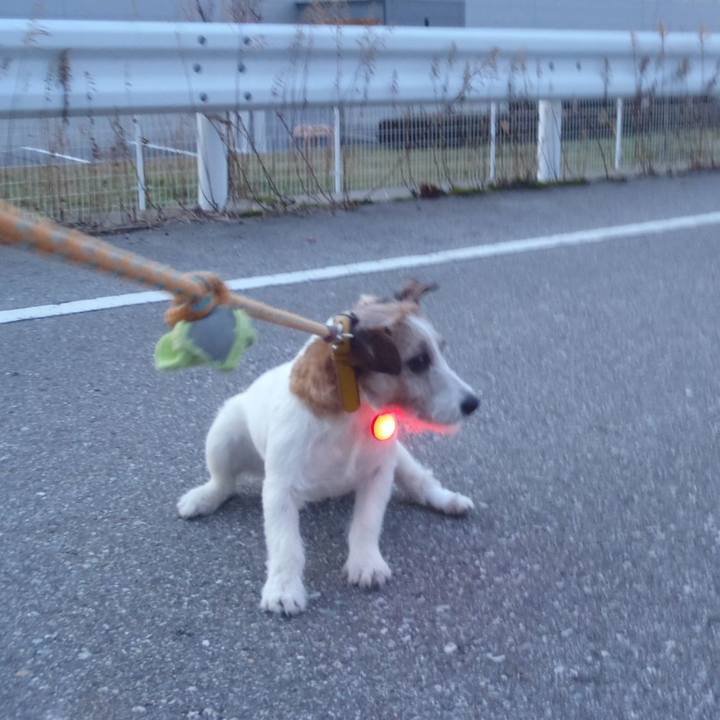 F4156878 1580 459f b51e cb043a90c1da 1516438917149