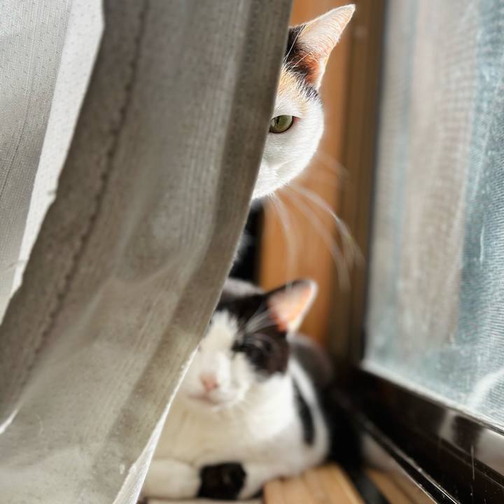 F4158e01 d42d 4b6c a96f a24bd76b6068 1707357009505