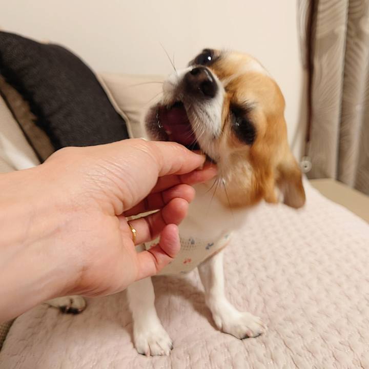 F4159407 bb5e 46c5 a892 68f40ac62026 1652958287354