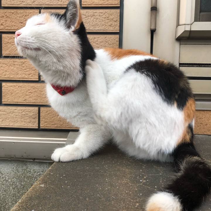 F415c9ec 20f2 4de0 8d4e dad00825f424 1606256878274