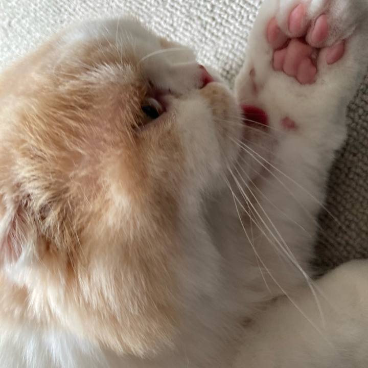 F415dd9e 2896 4055 8887 7dc9687116e2 1629545434838