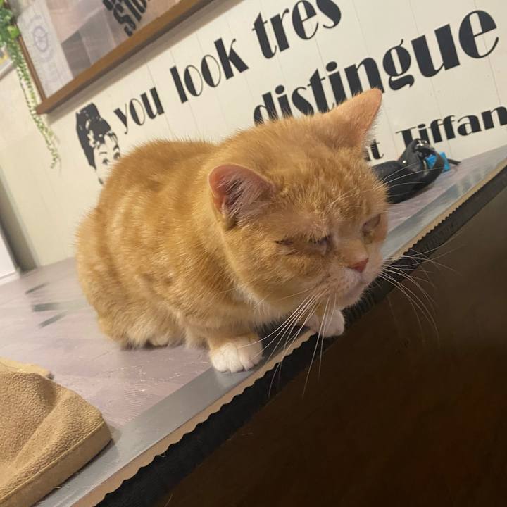 F416074b f13a 4c79 8d93 7a18350183d4 1644679389830