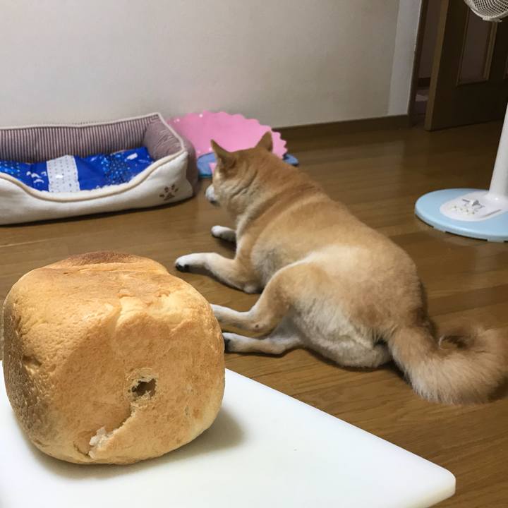 F4161442 b71d 4096 8e85 ccd8eefd1a5a 1535461560648