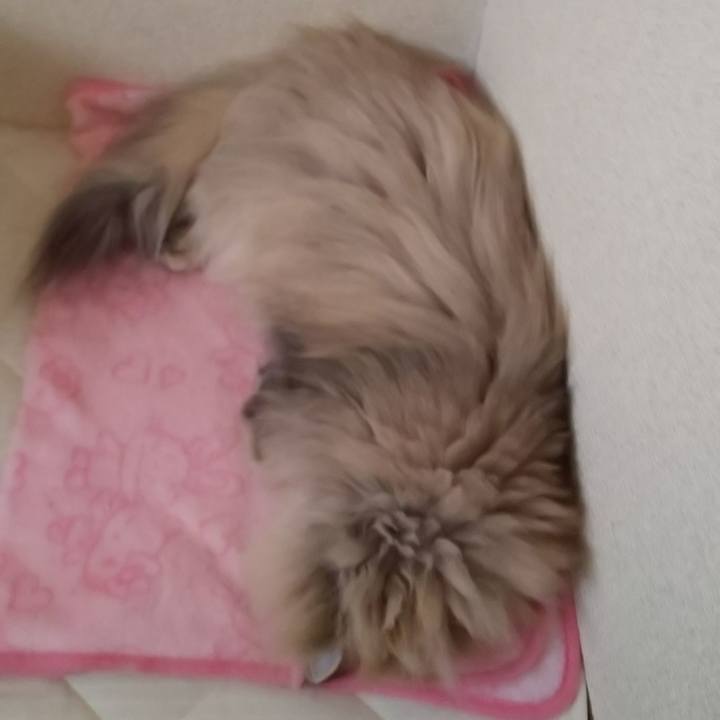 F4166fd2 53e4 4200 819a eda19a1339c2 1604904831085