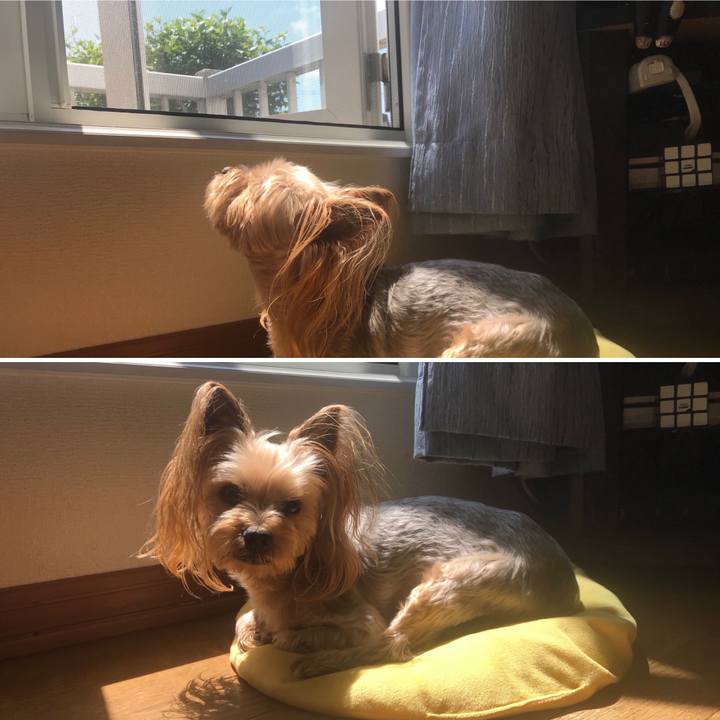 F416861a 1a3f 4114 b579 59c412b31b78 1560157900829