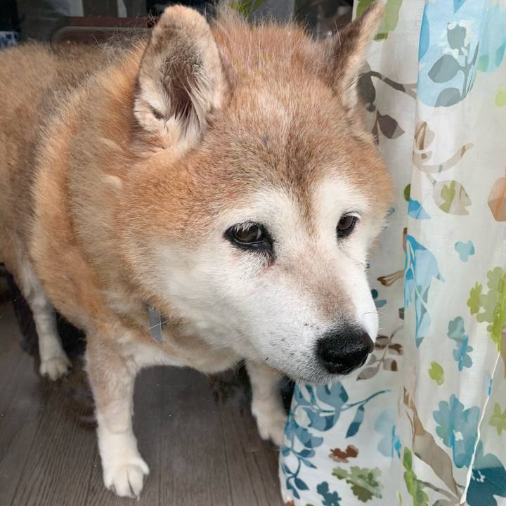 F416a0d0 2eb5 4e5a a8b6 357999b40e98 1620192823637