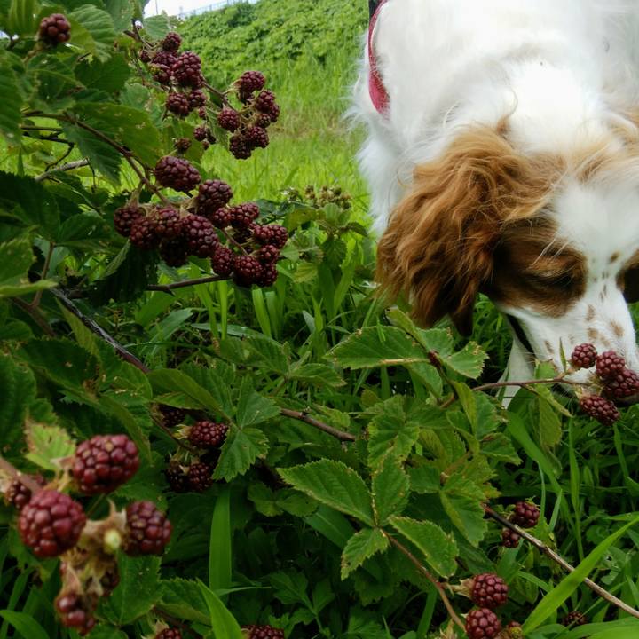 F416e177 de15 417f 9515 cca62975698c 1562413018449