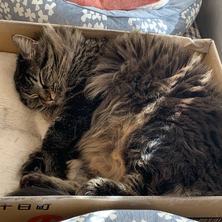 F416fb2c 862b 4ca2 a292 adb9e08f1ba9 1739583299737