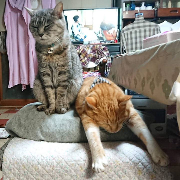 F4174a9d d512 4bb6 8dab d152ac040d46 1607338739336