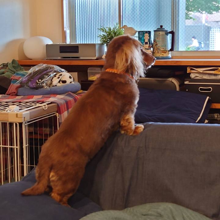 F417cb34 0e41 4cda 90df 1c20faca66b1 1687821429939