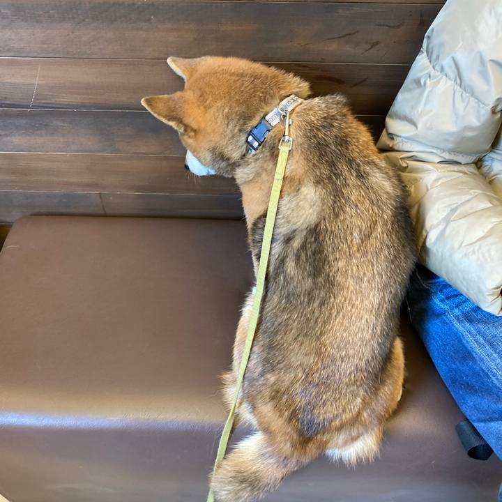 F417e68a 6167 44d7 85e8 d068fa55fe09 1702267079587