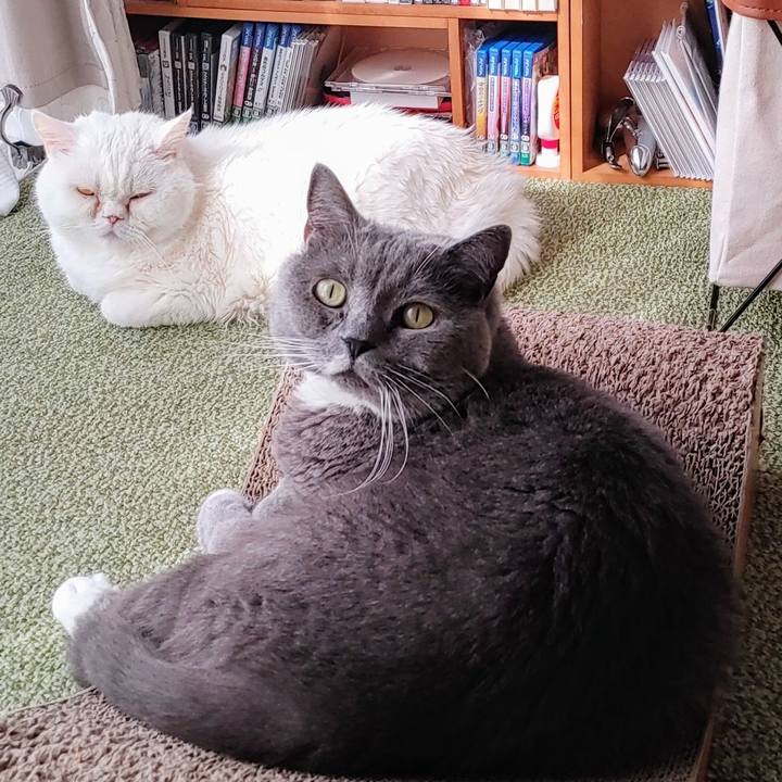 F418b347 dfe0 4e17 a1a5 ca233fb654b2 1714691359189