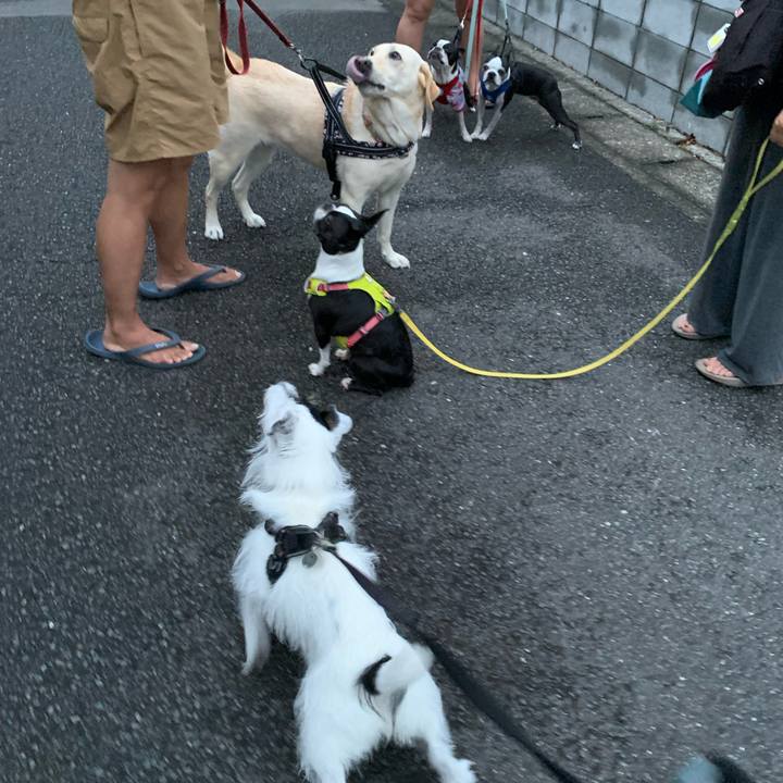 F418d34e 17bf 4a02 b38e a2f19d27a326 1752575368567