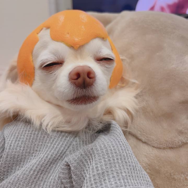 F418fcae abc6 4593 b899 b4e64e04995a 1773826928711