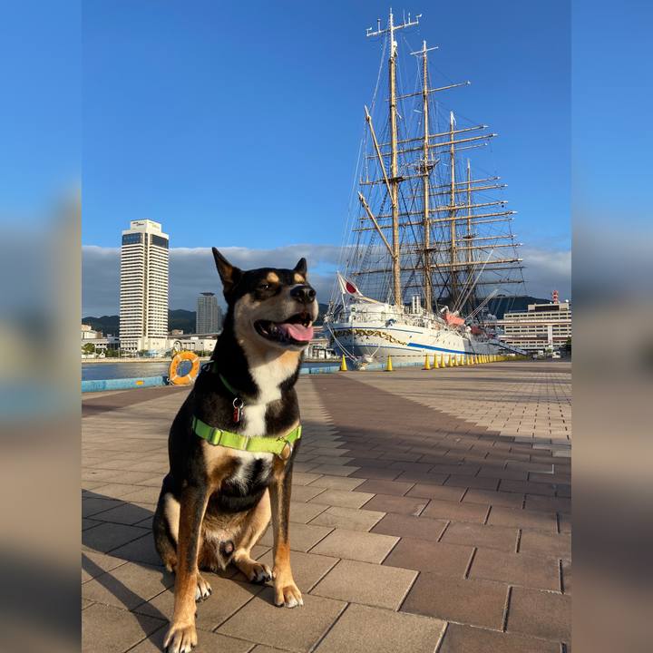 F41933d4 1790 4449 be79 15b467da3c2e 1601250200750