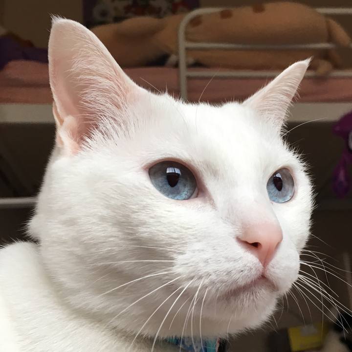 F41966a8 d02b 40e4 b533 bcddfb20d19b 1521929698621