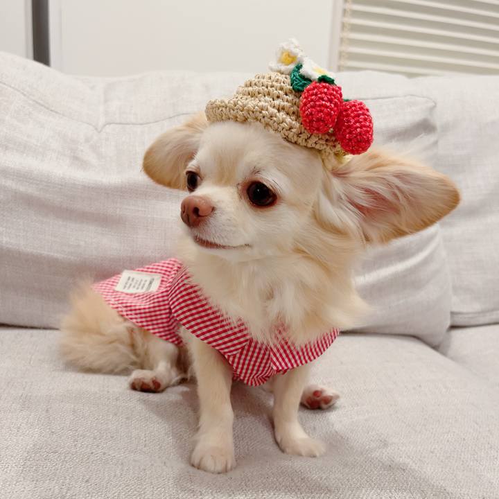 F41972c1 29af 4c0e a1d8 f19d680d09be 1720877738669