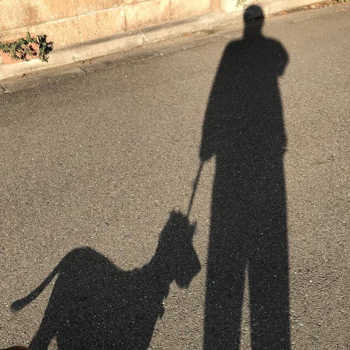 F4199c3c a2b8 4f41 aece 1539eeccafcb 1542671873438