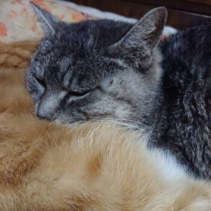 F419d42c a071 4286 92ba 573cf3b8a634 1577273465334