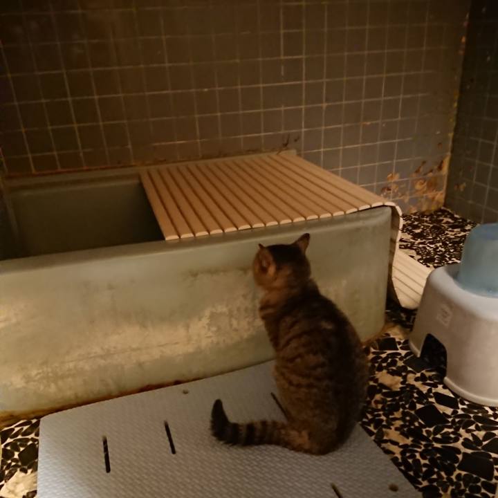 F419fae5 e8bb 4af9 9e4b 37f7fdf3e3ee 1578300985366