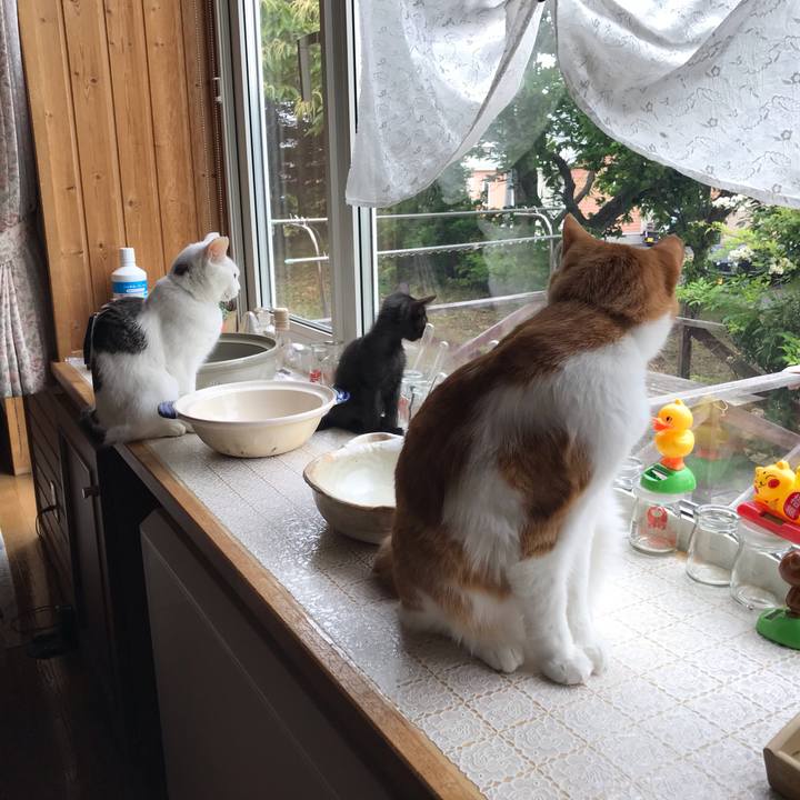 F419ffab fce1 4bb4 bffb 42104c67242a 1563052142185