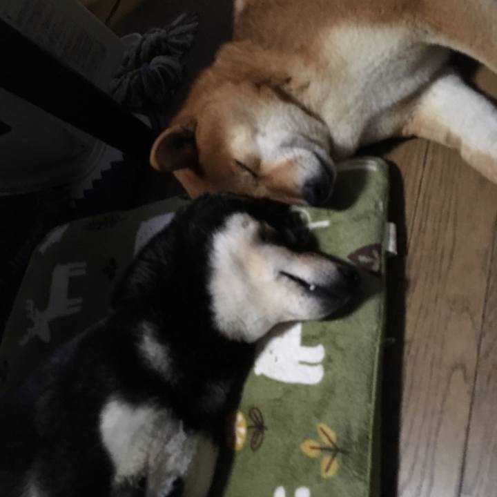 F41a0b7b eae0 4296 aa72 7dedc58b96fb 1518186445198