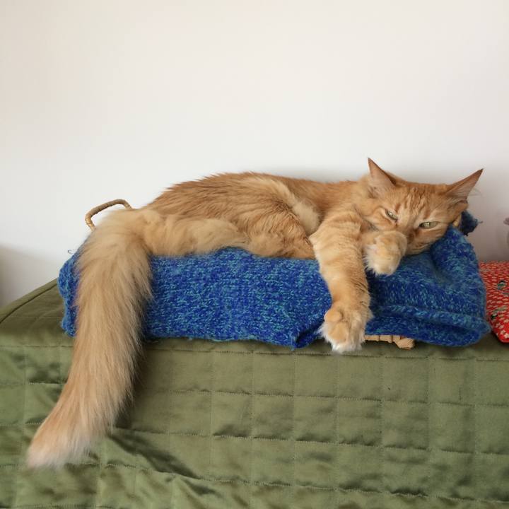 F41a0ce7 67a4 4445 b356 78cc34cc999b 1547658726113