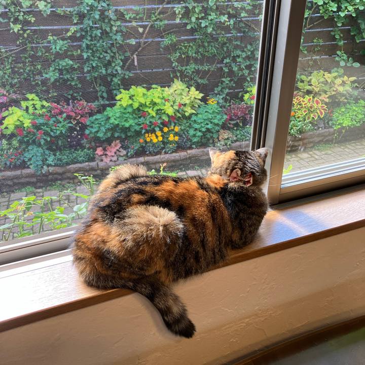 F41a57c3 27cb 4ea8 8277 99fdc16870fe 1760500026584