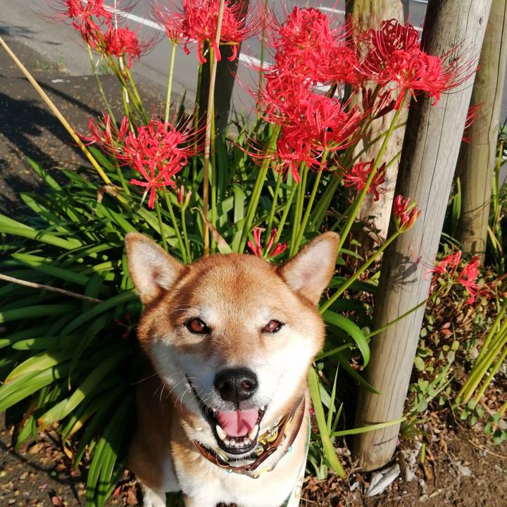 F41a8e05 29e9 4e3e acbe 5fa6c44f6179 1631689902605