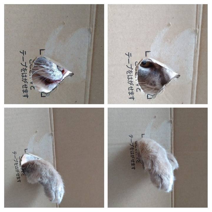 F41aa8e7 4898 412f bcbd 95a820c12f1b 1625485456733