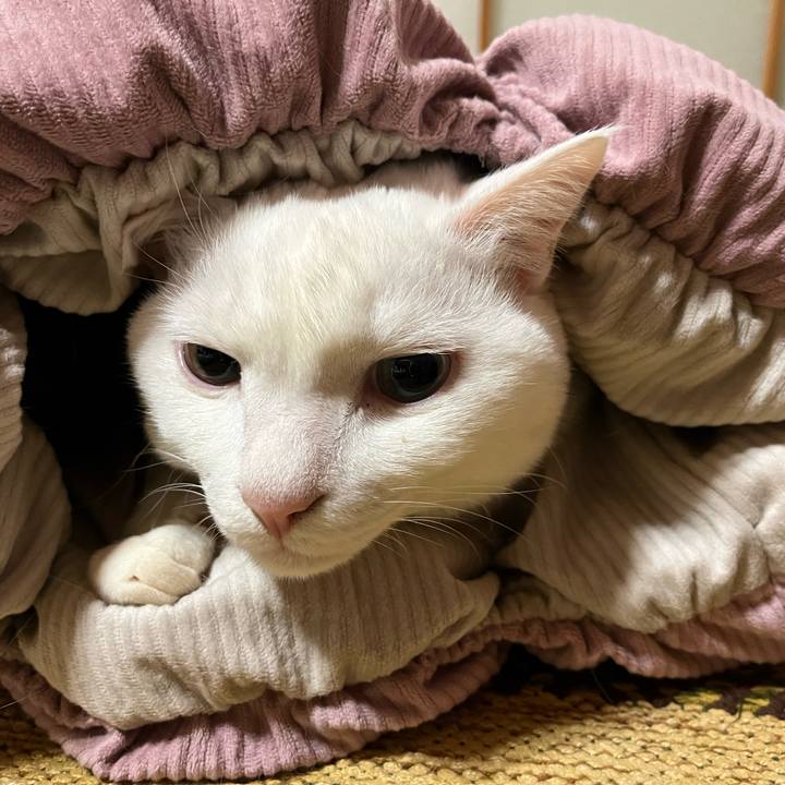 F41ac4a9 35de 4689 9b85 822fab251d26 1674218890342