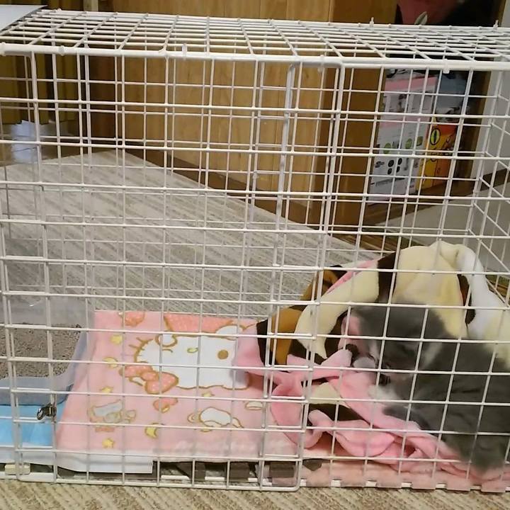 F41b25e6 3ce0 4d06 9252 ef4e37375808 1558339889809