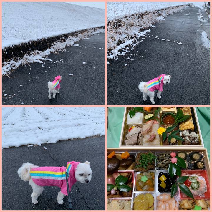 F41b2aa1 7723 4c9a b61e 64461fddf085 1609374479912