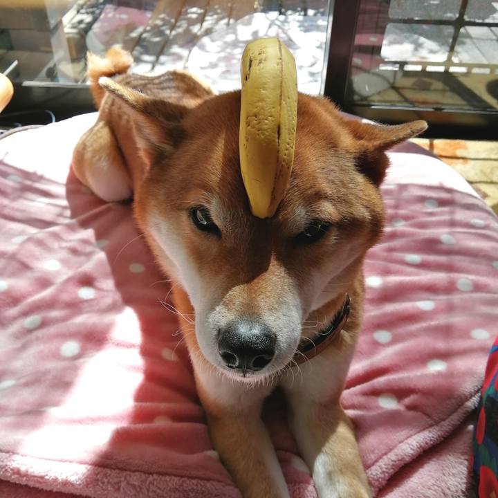 F41b4321 c663 4879 af03 5ed982c8d547 1583466039118