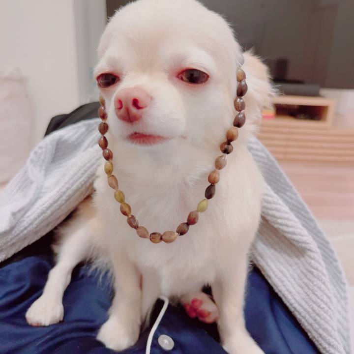 F41b5925 ebb1 4552 b6cb c89e5e7ca1c0 1694688567457