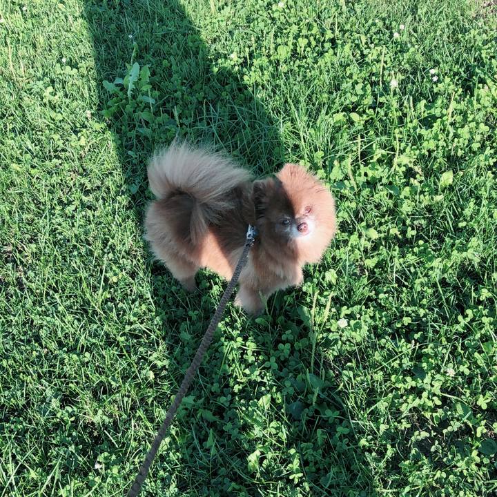 F41ba5bb 9fe6 48c9 959a 5ebb004418f5 1534580441211