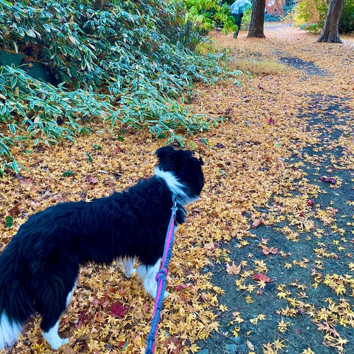 F41bc0cb 8d61 4f15 b43f 675f5273d7ff 1702272191317