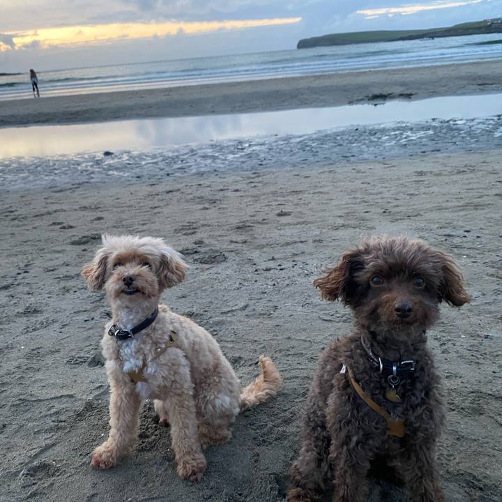 F41be0a5 096b 402f 985d 93df7cb1a79b 1692737229424