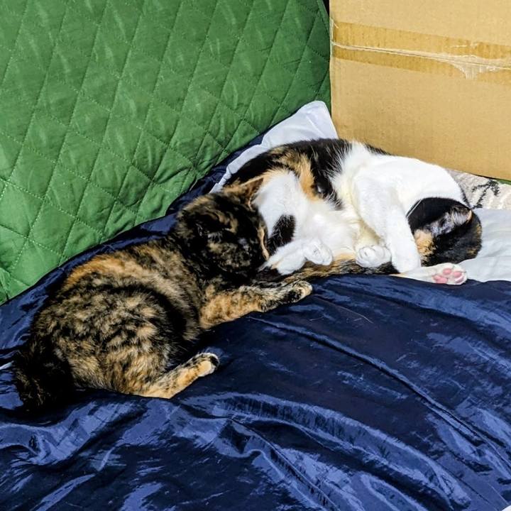 F41c007a 70d9 42cc b940 89823b983472 1763472080000