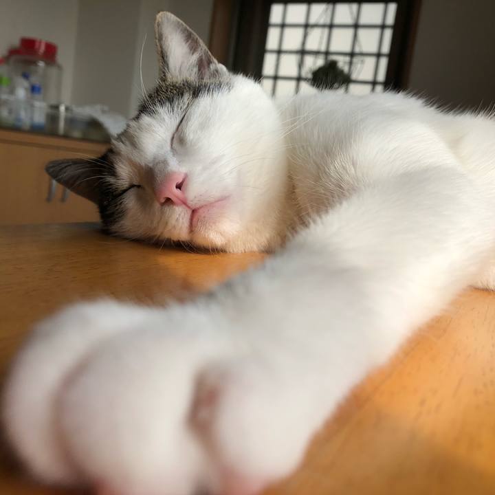 F41c0f50 7a5d 4ed2 8ff8 4748ba6ac84e 1591142972909