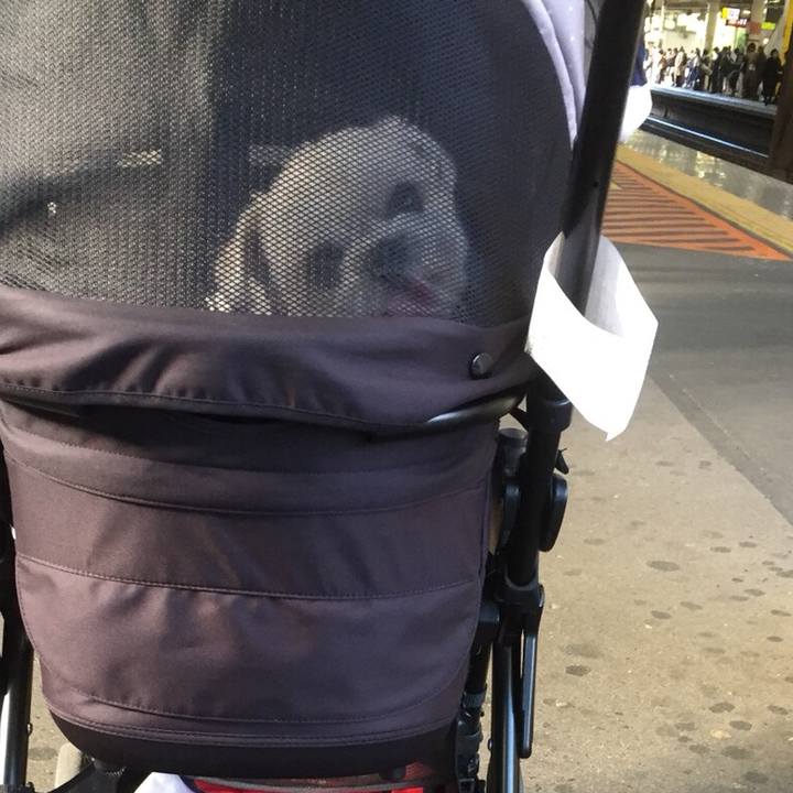 F41c1b55 d48e 49b2 9452 ca20fba48ea8 1511092280871