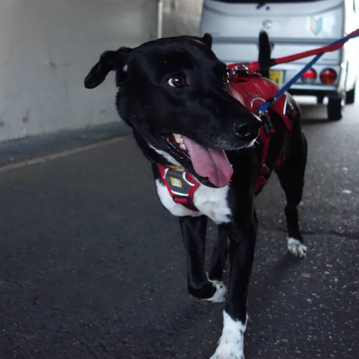 F41c301a d4ba 47f3 8dca 7c535ad5b7aa 1590230078279