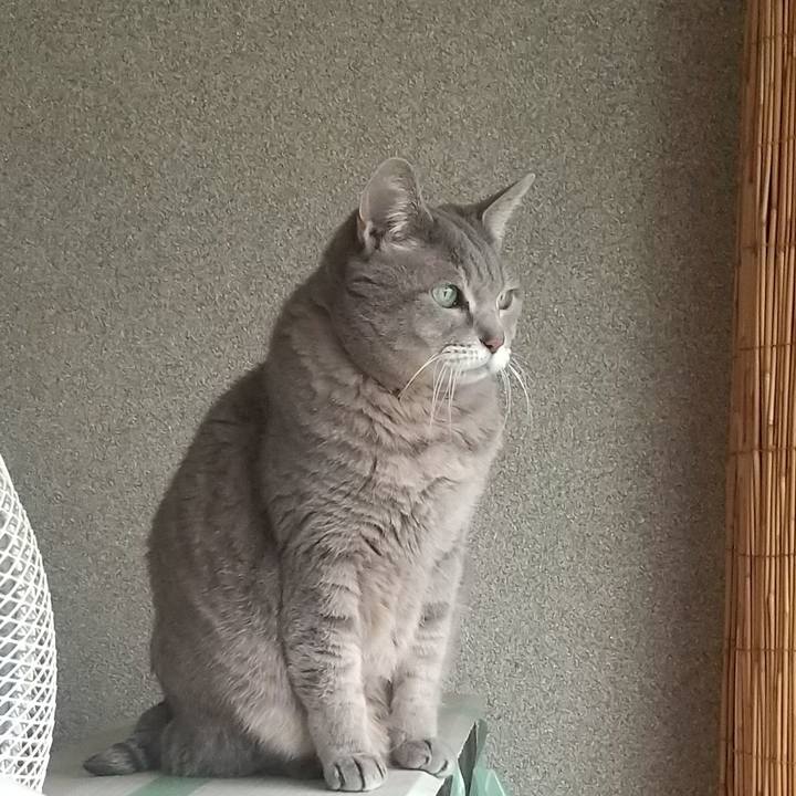 F41c3edc d298 45d0 8bc4 89a7be611d7c 1612746104568