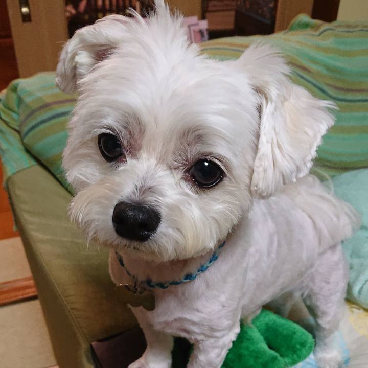 F41c6dd0 1195 4004 a51a d4de4c04f99c 1556964109987