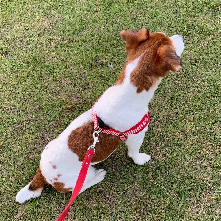 F41c783d e978 415d b2ed 630534e41617 1561565179220