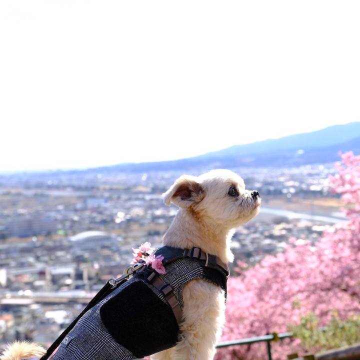 F41caff4 f642 40c6 941a 36ff3477dec2 1613560541191