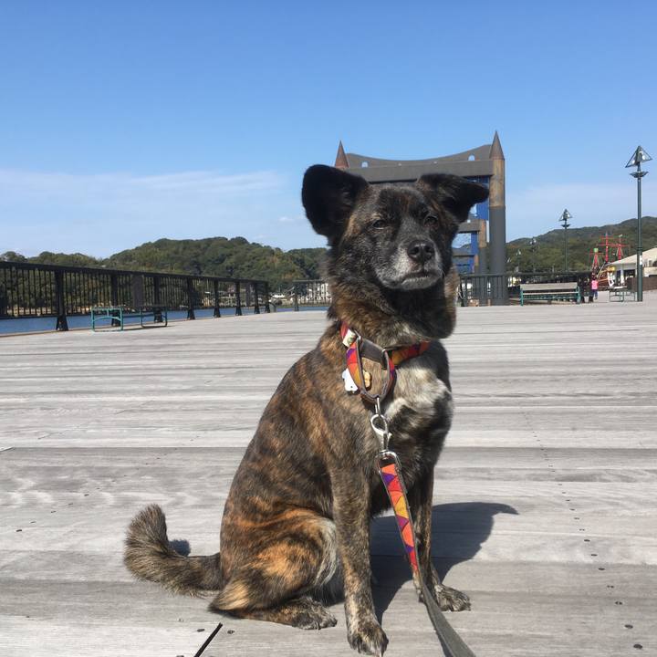 F41cde3d 5938 4722 a3c6 09fcf2e1c770 1520347388942